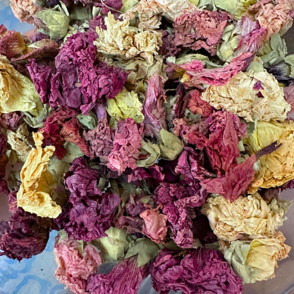 Hoary Stock (Mathiola Incana)